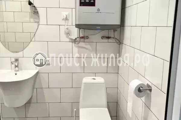 «Елки-палки» «Елки-палки»