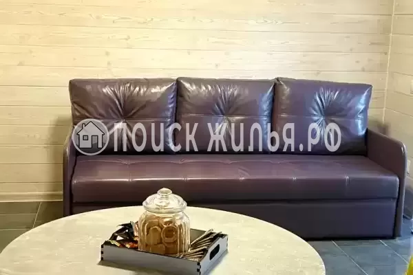 «Елки-палки» «Елки-палки»