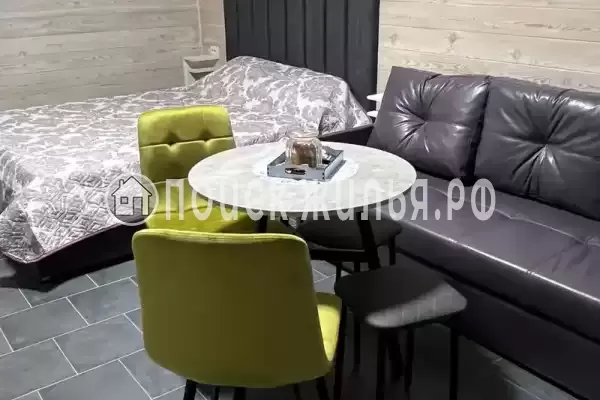 «Елки-палки» «Елки-палки»