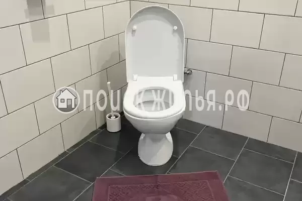 «Елки-палки» «Елки-палки»