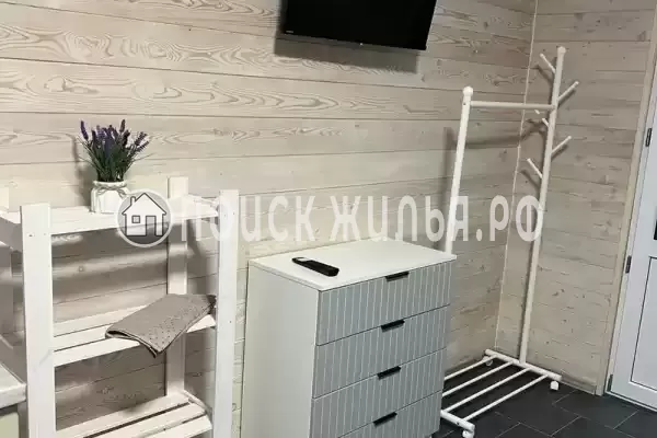 «Елки-палки» «Елки-палки»