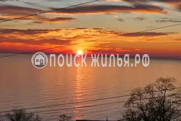 «Виллоо Боско» «Виллоо Боско»