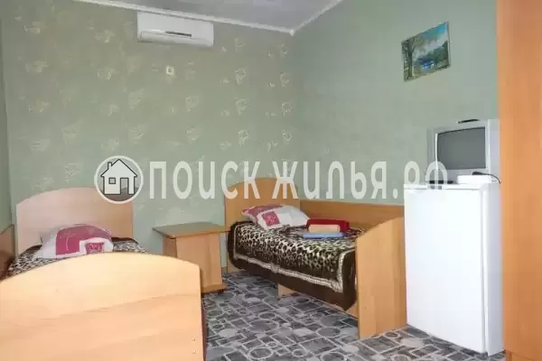 «Камелия» «Камелия»