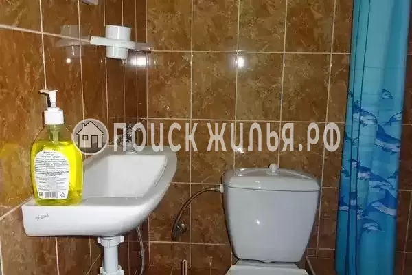 «Камелия» «Камелия»