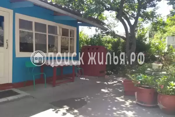 «Диспина» «Диспина»