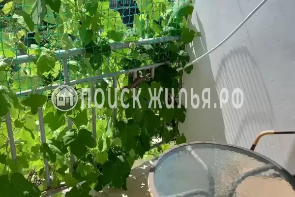 Черноморская, д.4