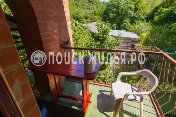 «Лесная прохлада»