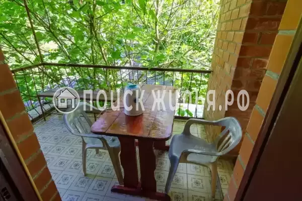 «Лесная прохлада»