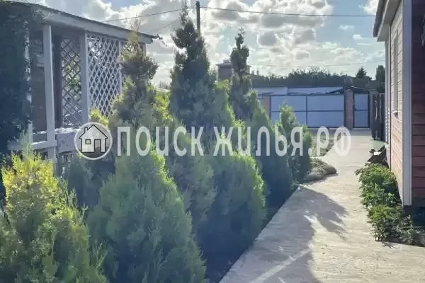 «Семейный» «Семейный»