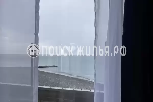 «У Черного моря»