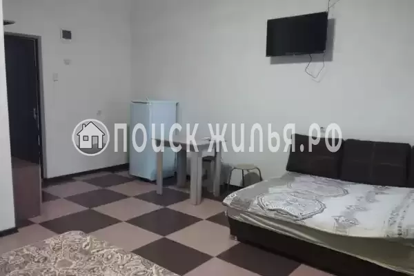 «София» «София»