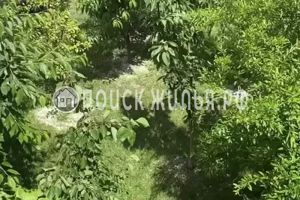 Отель «Вероника»