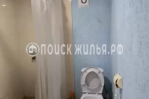 Гостевой дом «В тени киви» Гостевой дом «В тени киви»