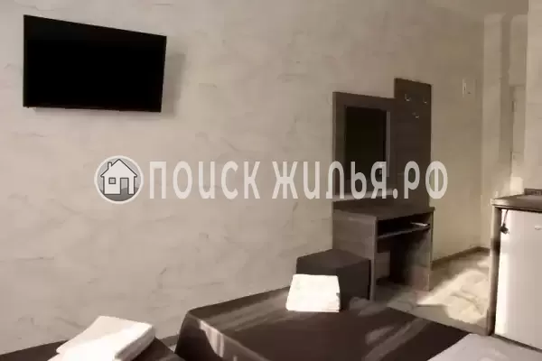 «Амати» «Амати»