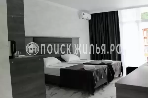 «Амати» «Амати»