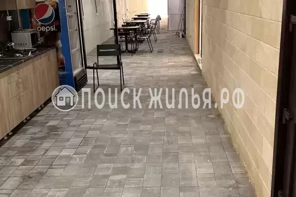 «Амати» «Амати»