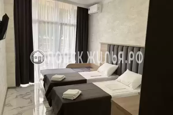 «Амати» «Амати»