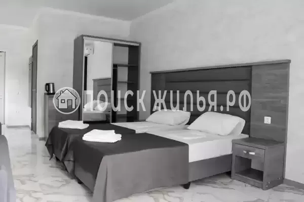 «Амати» «Амати»