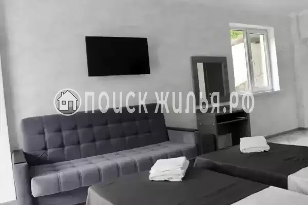 «Амати» «Амати»