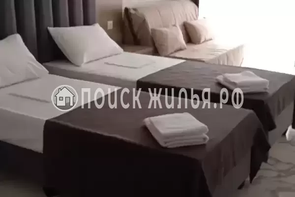 «Амати» «Амати»