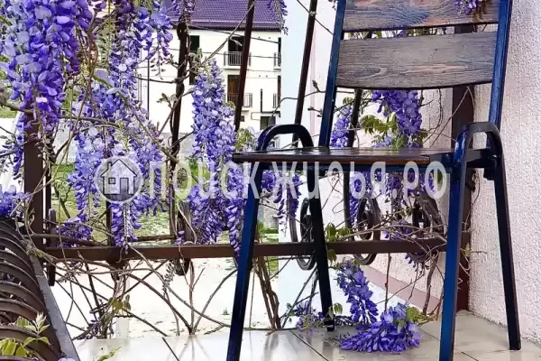 «Золотая рыбка»