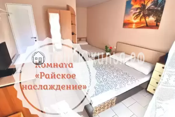 «Золотая рыбка»