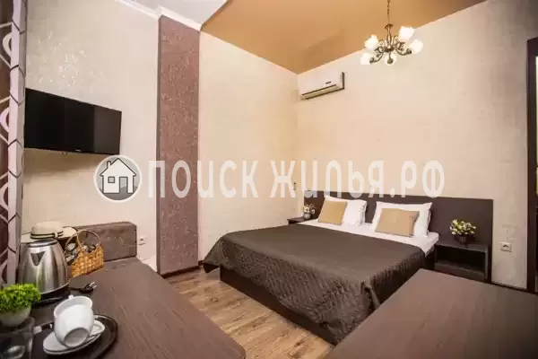 «Золотая подкова» «Золотая подкова»