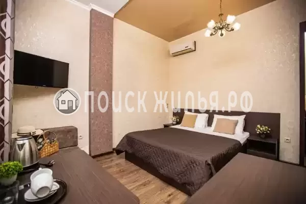 «Золотая подкова» «Золотая подкова»