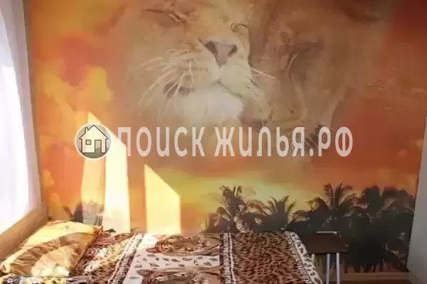 Частный сектор «Голландия» Частный сектор «Голландия»