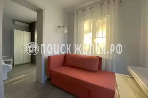 «Под соснами»