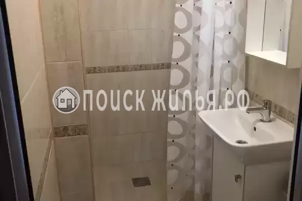 «Под соснами»