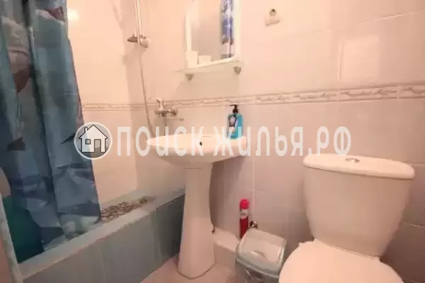 «Алина» «Алина»