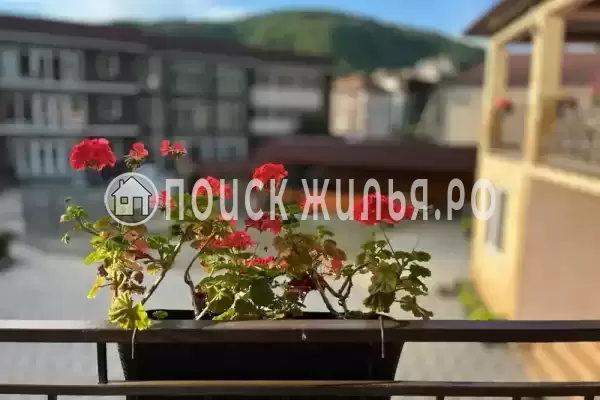 «Рафаэль» «Рафаэль»