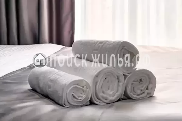 «Лес» «Лес»