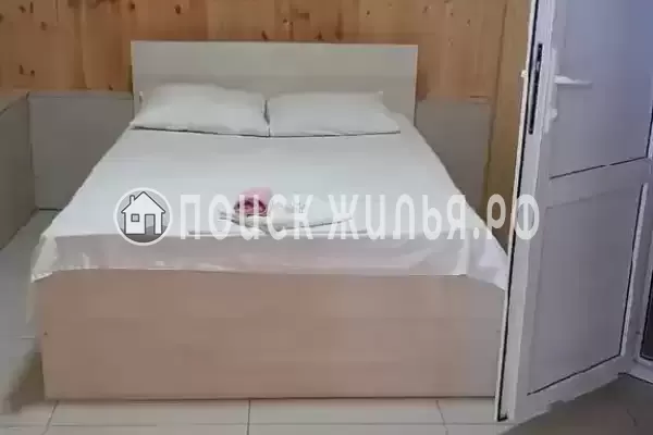 «Пальма финик» «Пальма финик»