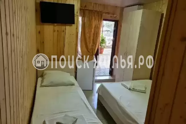 «Пальма финик» «Пальма финик»