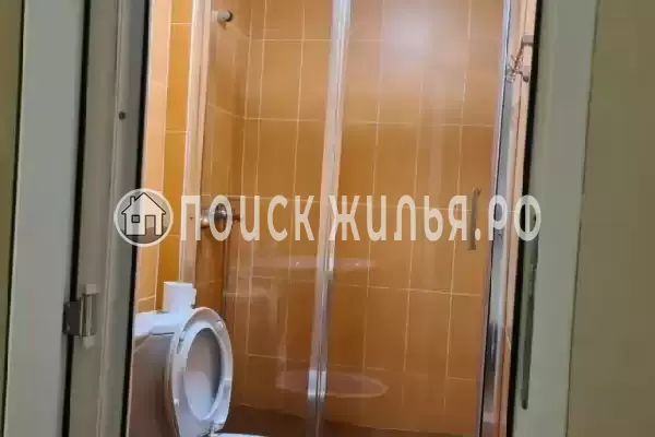 «Пальма финик» «Пальма финик»