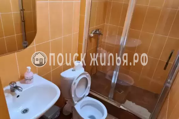 «Пальма финик» «Пальма финик»