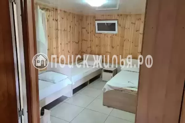 «Пальма финик» «Пальма финик»