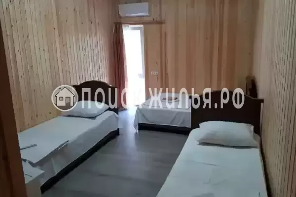 «Пальма финик» «Пальма финик»