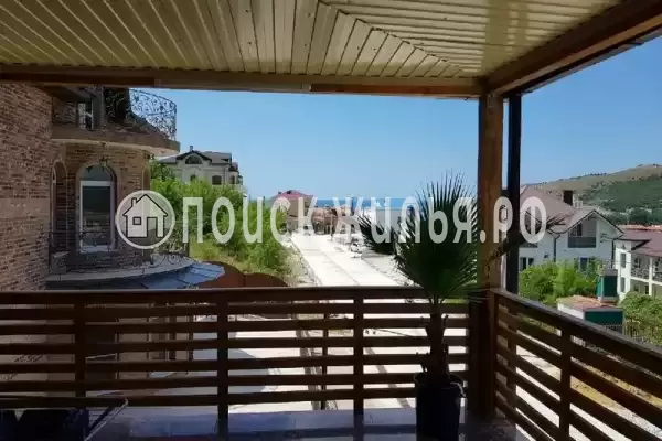 «Пальма финик» «Пальма финик»