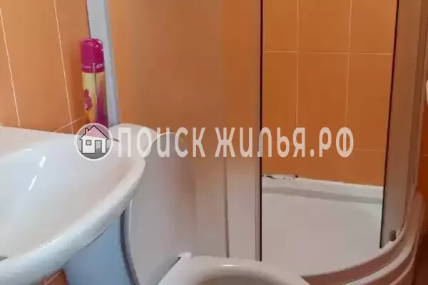 «Пальма финик» «Пальма финик»