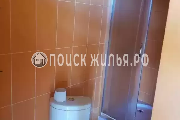 «Пальма финик» «Пальма финик»