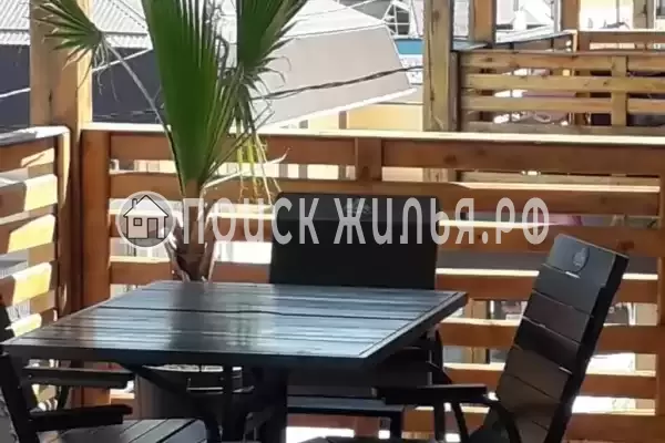 «Пальма финик» «Пальма финик»