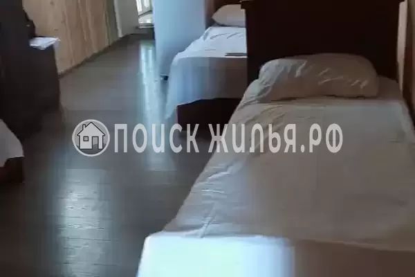 «Пальма финик» «Пальма финик»