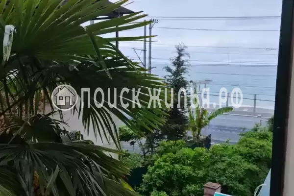 «Лаванда» «Лаванда»