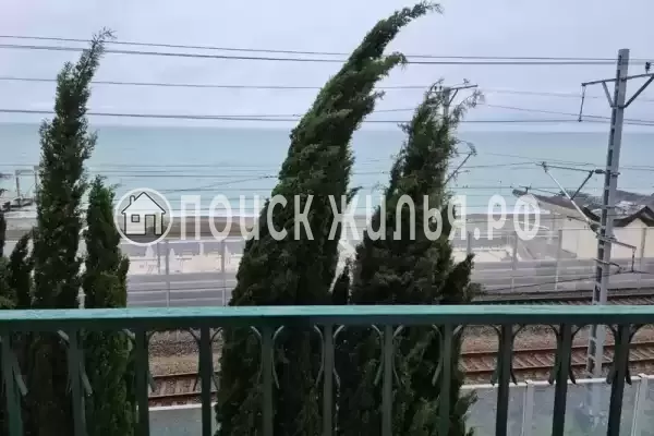 «Лаванда» «Лаванда»