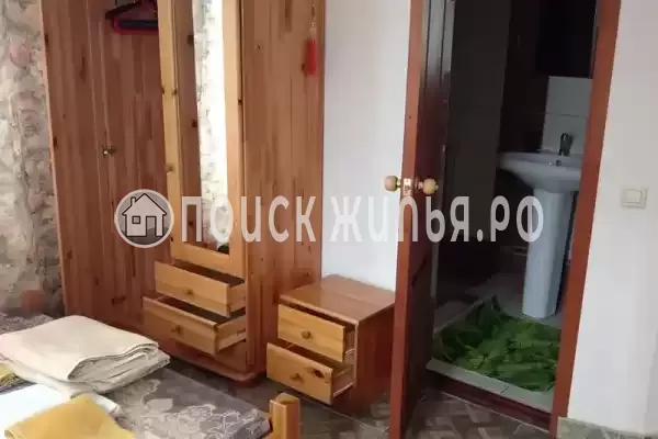 «Оазис на молодежной»