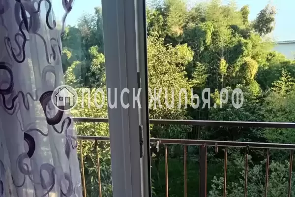 «Оазис на молодежной»