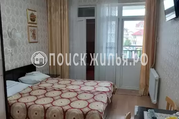 «Золотой рапан» «Золотой рапан»